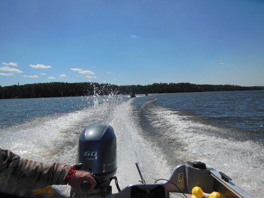 DSCN0803.JPG
