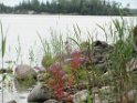 IMG_0002