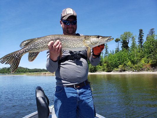 20190615_124944.jpg