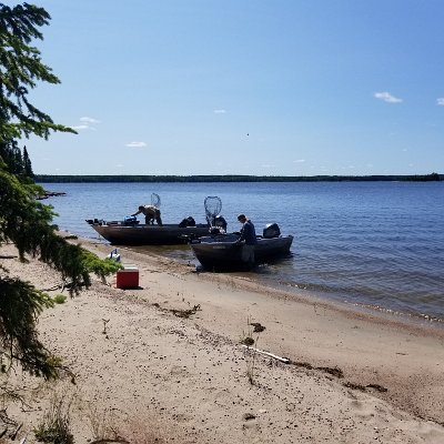 20190730_124818.jpg