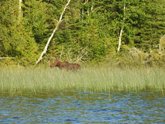 DSCN3782.JPG