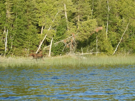 DSCN3783.JPG