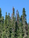 IMG_0025