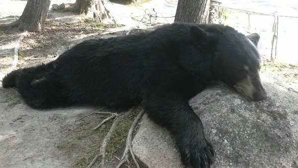 20150911_100429_resizeda.jpg