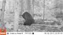 EK000008