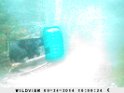 SUNP0010
