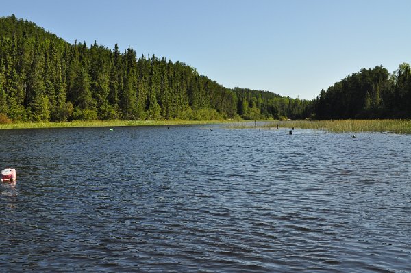 DSC_0003.JPG