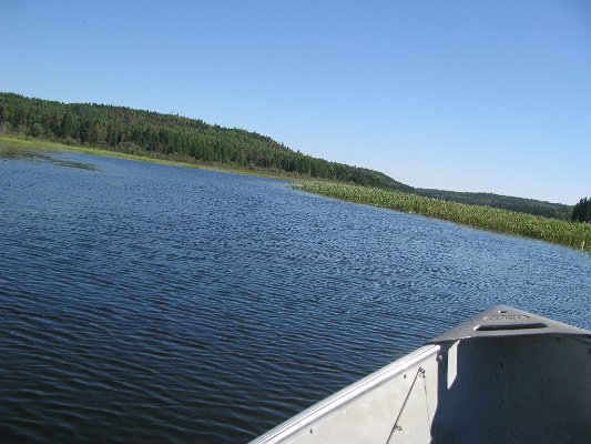 IMG_7765.JPG