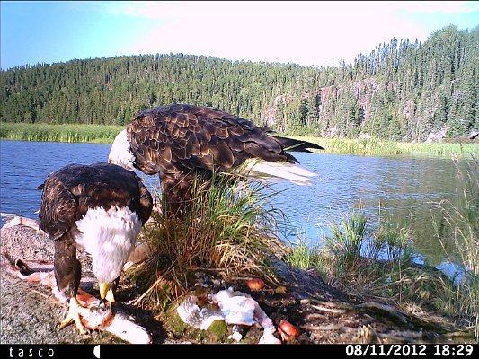 HUNT0045.JPG