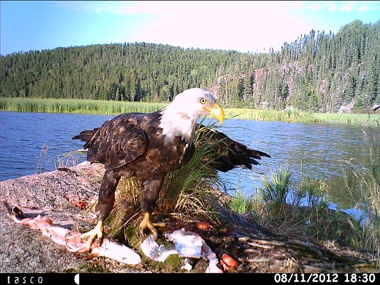 HUNT0046.JPG