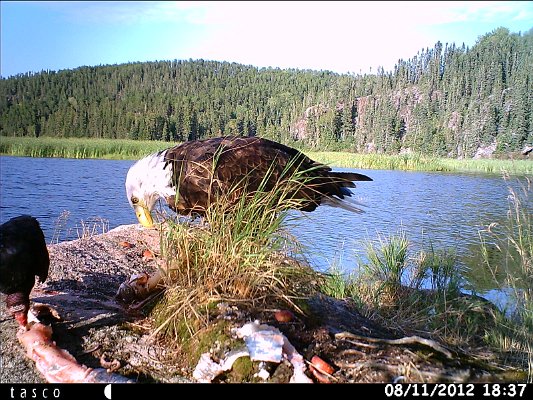 HUNT0053.JPG