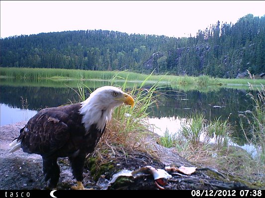 HUNT0062.JPG