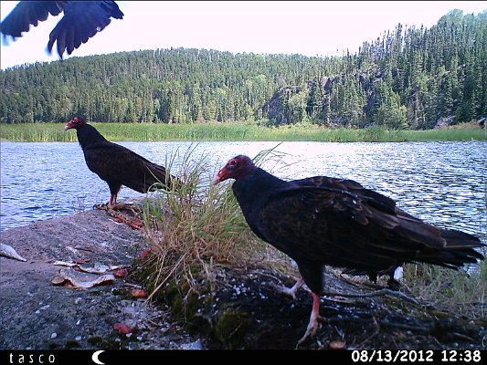 HUNT0121.JPG