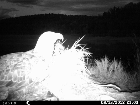 HUNT0130.JPG
