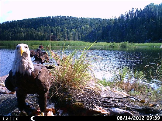 HUNT0148.JPG
