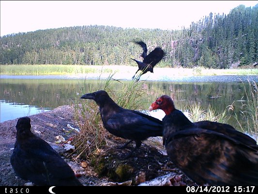 HUNT0277.JPG