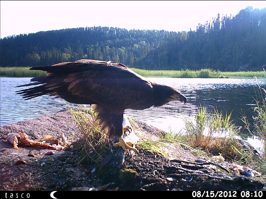 HUNT0351.JPG