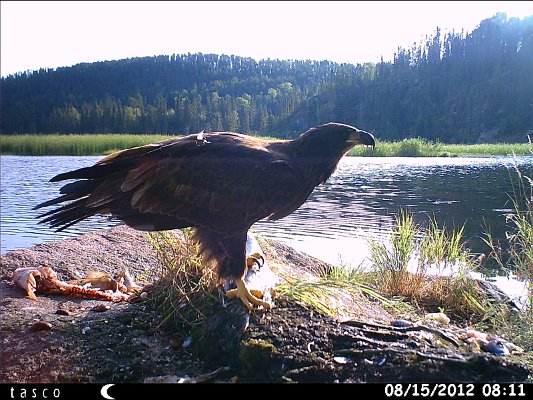 HUNT0352.JPG