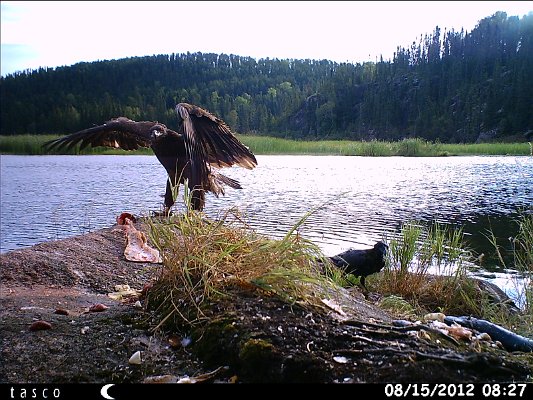 HUNT0362.JPG