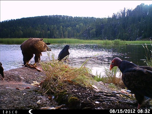 HUNT0371.JPG