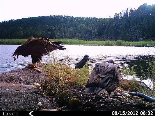 HUNT0372.JPG