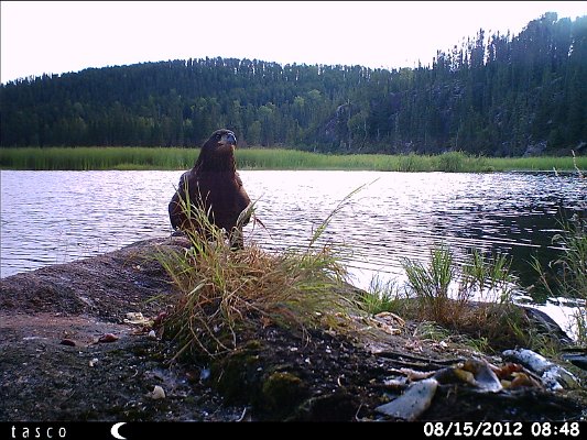 HUNT0383.JPG
