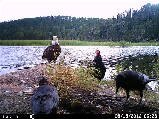 HUNT0449.JPG