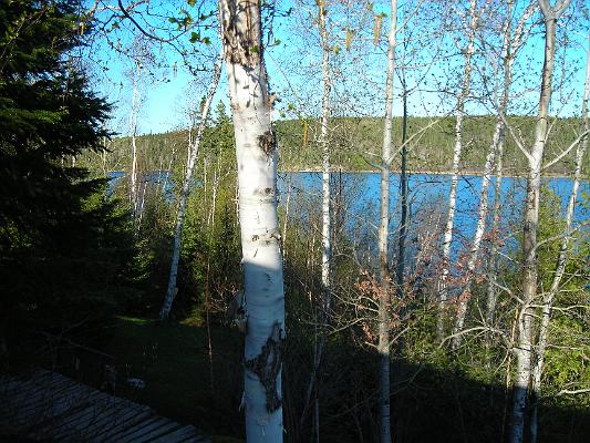 DSCN2038.JPG