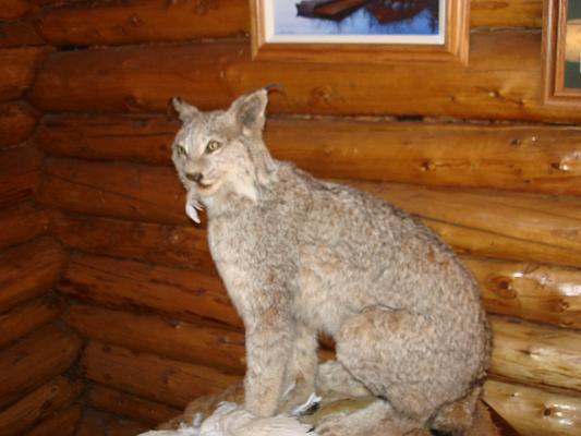 DSC03414.JPG