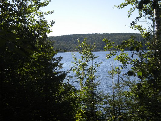 DSCN1194.JPG