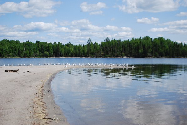 DSC_0190.JPG