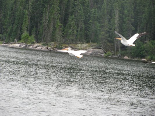 IMG_0023.JPG