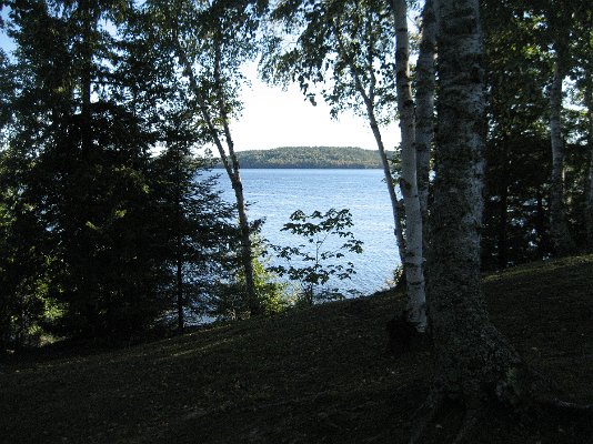 IMG_0041.JPG