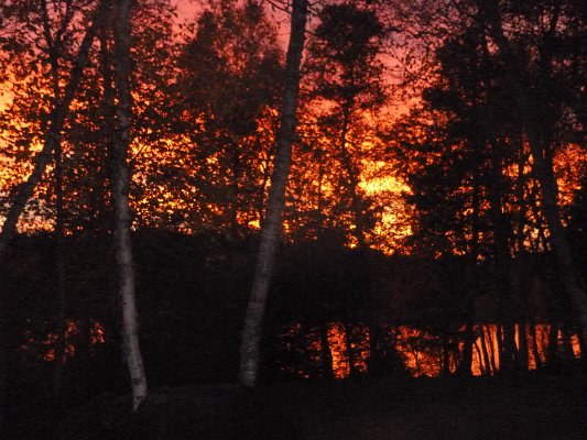 P1000371.JPG