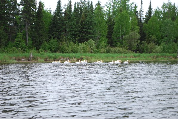 DSC_0164.JPG