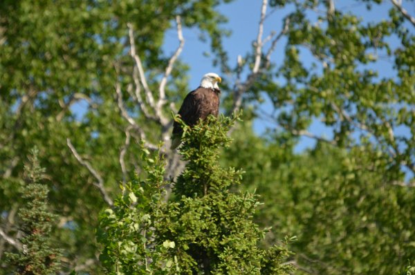 DSC_0243.JPG