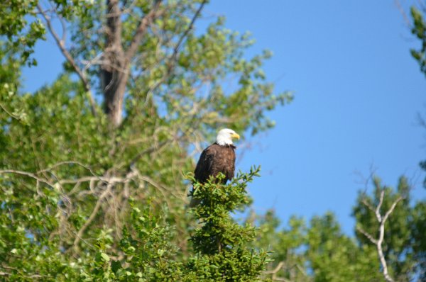 DSC_0245.JPG