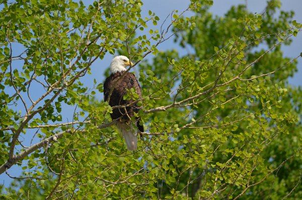 DSC_0256.JPG