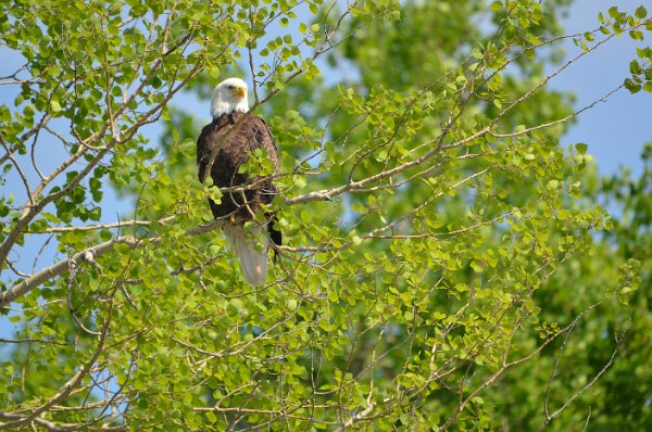 DSC_0257.JPG