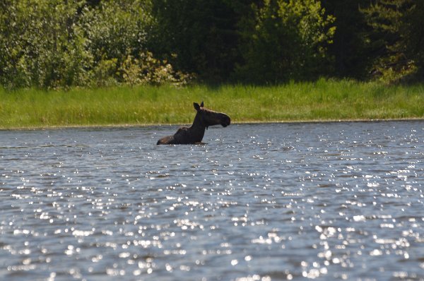 DSC_0284.JPG