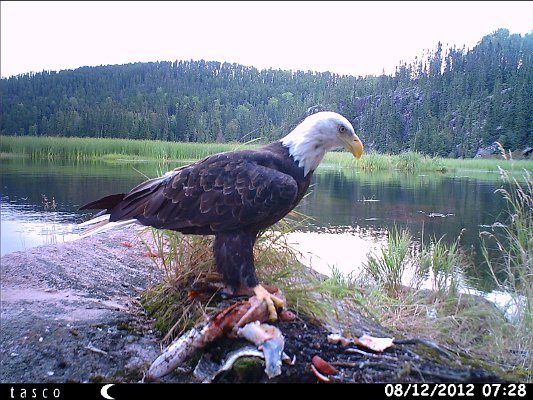 HUNT0056.JPG