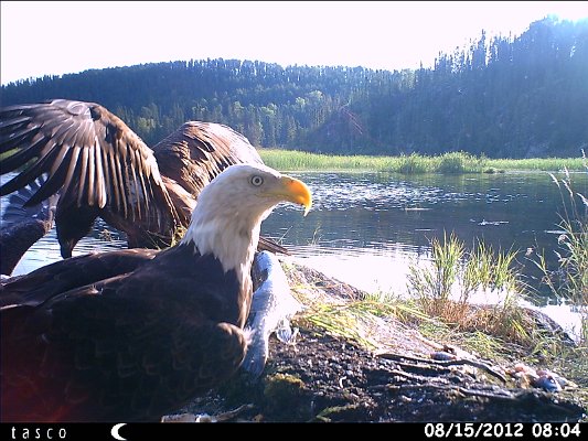 HUNT0345.JPG