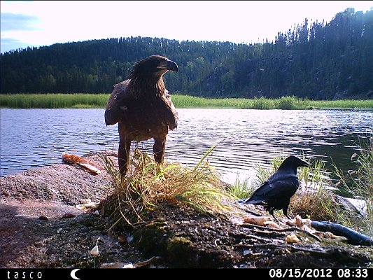 HUNT0373.JPG