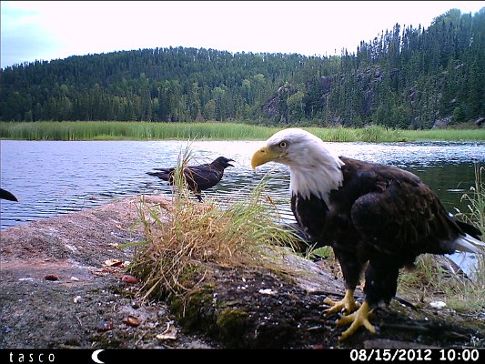 HUNT0484.JPG