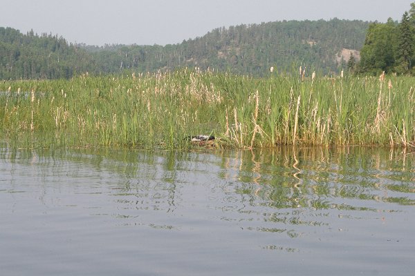 IMG_7395.JPG