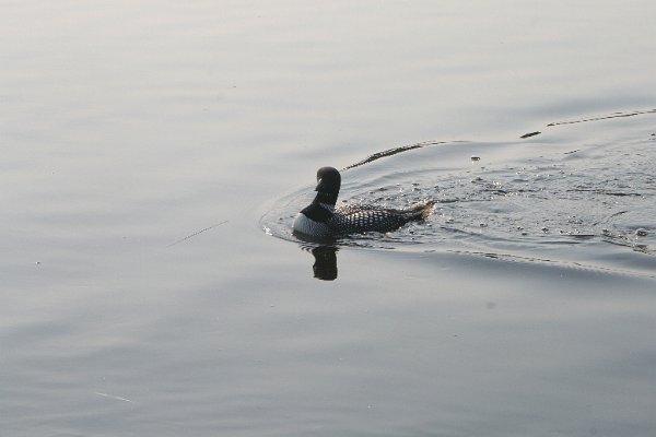IMG_7398.JPG