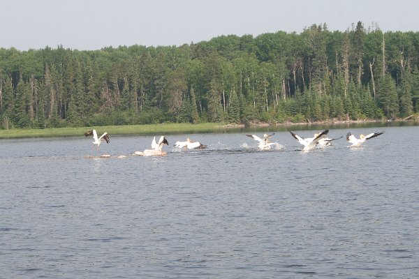 IMG_7427.JPG