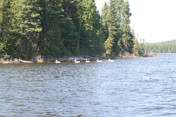 IMG_7553.JPG