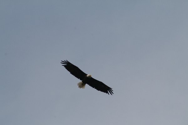 IMG_7610.JPG