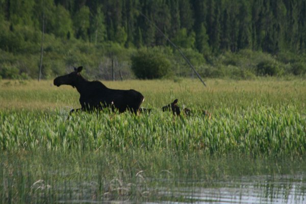 IMG_8370.JPG